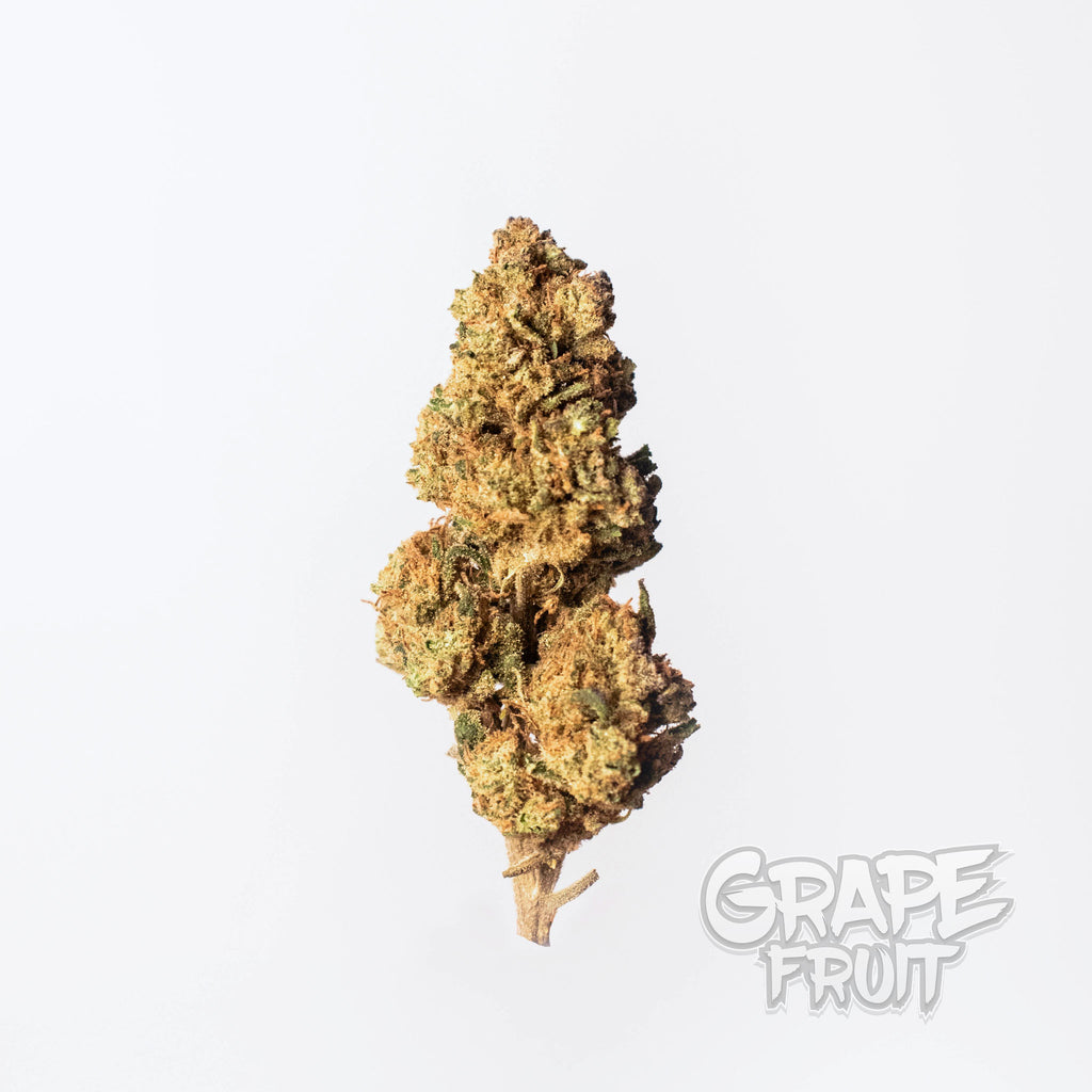 Grapefruit